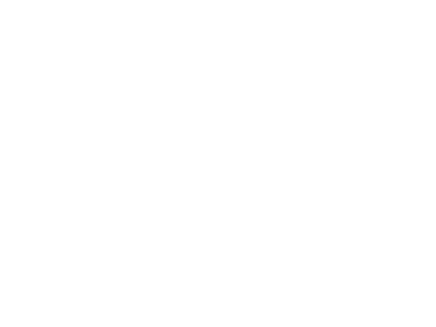 Escuela La Moreneta Flamenco Ballet Wellness